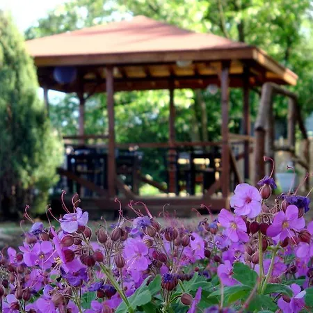 White Village Park Iskar Lake 2* Pasarel